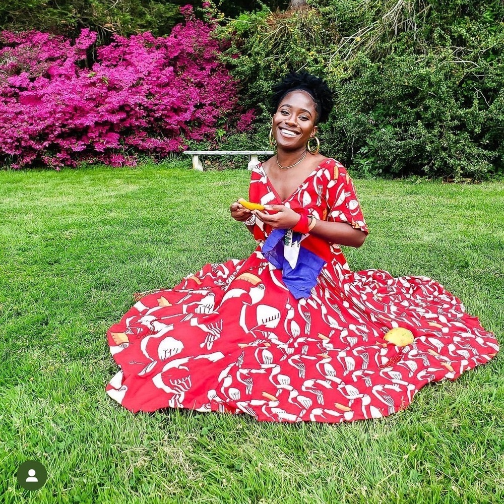 Farm Rio dress